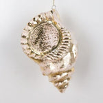 10" VP Glittered Conch Shell Ornament - Ivory Champagne