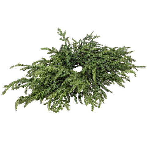 24" Just Cut Norfolk Pine Centerpiece - Green