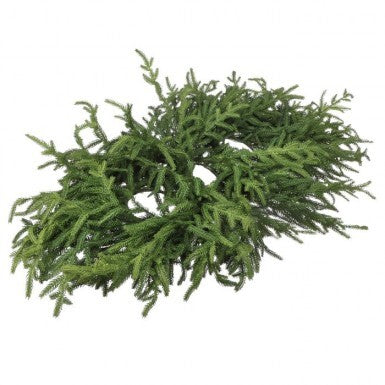 36" Just Cut Norfolk Pine Centerpiece - Green