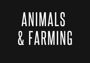 Animals & Farming Door Hangers