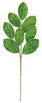 27" Velvet Magnolia Leaf Spray - Green