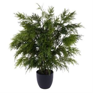 36" Potted Cedar Bush - Two Tone Green