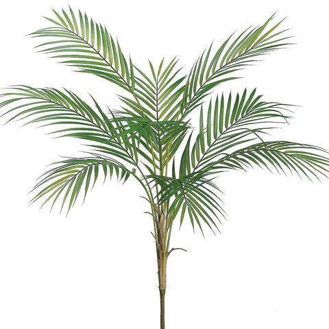34" Areca Palm Plant - Green