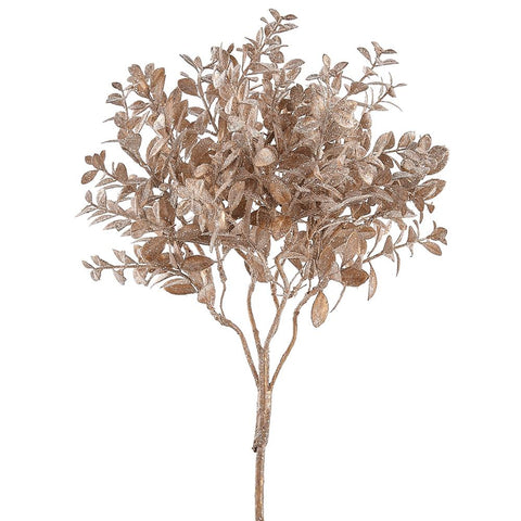 17" Glittered Mini Boxwood Leaf Spray - Champagne