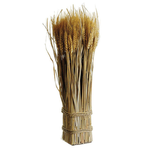 16.9" Preserved Standing Wheat Grass - Natural