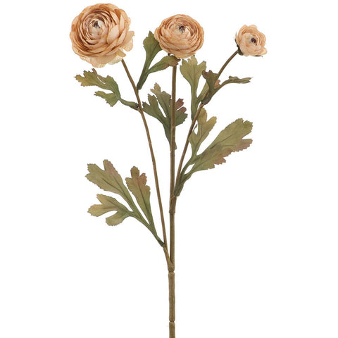 19.5" Ranunculus Spray - Beige