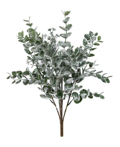 18" Eucalyptus Bush