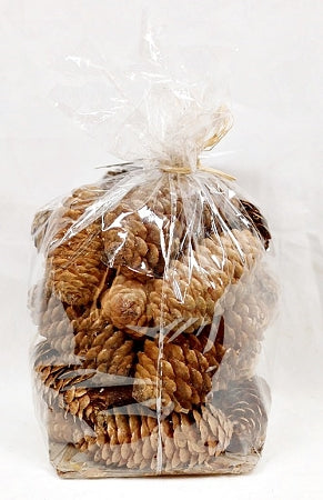 Long Pine Cones x12 - Loose With Bag