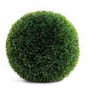 8 Inch Podocarpus Ball
