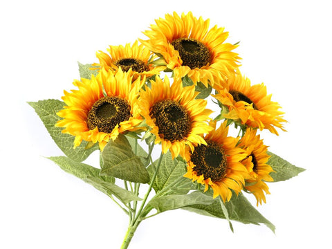 17" Sunflower Bush x7 - Yellow