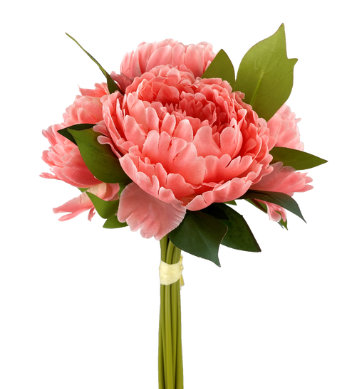 Peony Bouquet X5 - CORAL