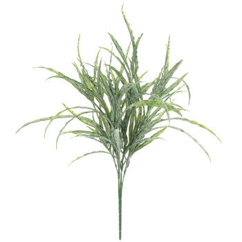 Frosted Green Birdnest Grass Bush - x7