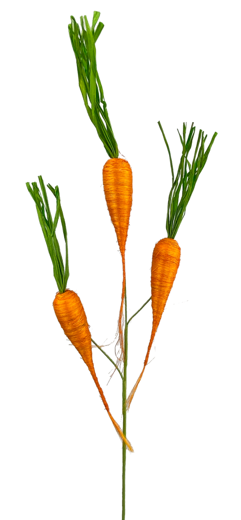 Carrot Pick x 3