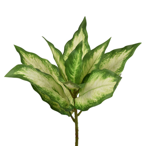 17" Fresh Touch Hasta Leaf Plant - White/Green