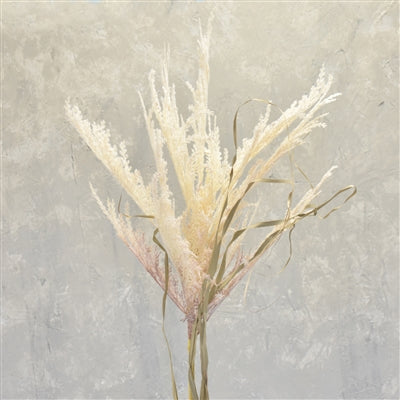 51" Wild Pampas Spray - Cream