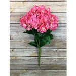 19" Petite Garden Hydrangea in Pink