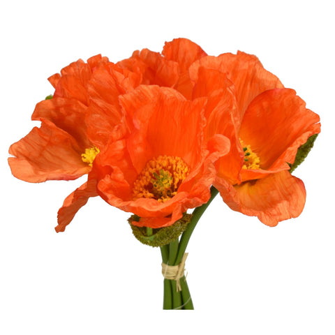 Poppy Bloom Bundle - 10.5"