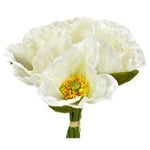 Poppy Bloom Bundle - 10.5"
