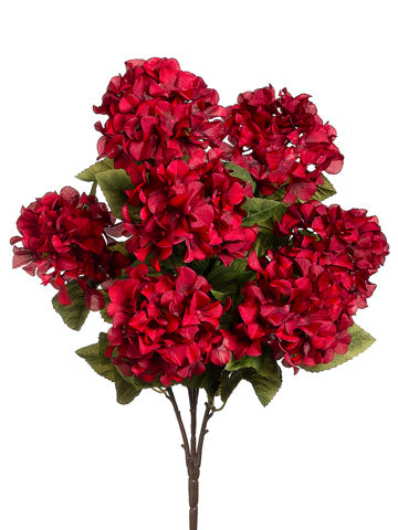 25" Hydrangea Bush x7  Burgundy