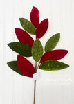 Pick - Red & Green Velvet Magnolia Leaves