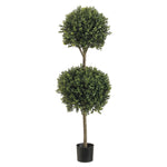 4' Double Ball-Shaped Boxwood Topiary in Plastic Pot Two Tone Green