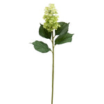 Hydrangea Cone -Green 36.5"