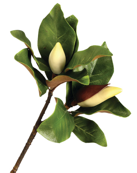 Eva Budding Double Magnolia Leaf 25"