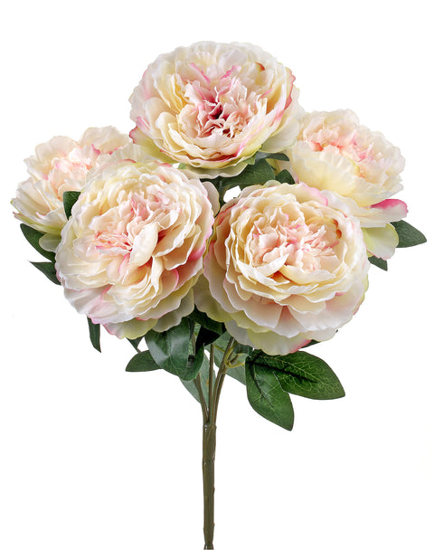 17" Peony Bush - Blush