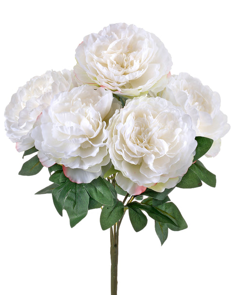 17" Peony Bush - White