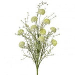 24" Wild Allium Bush x10 - Choose Color