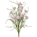 24" Wild Allium Bush x10 - Choose Color