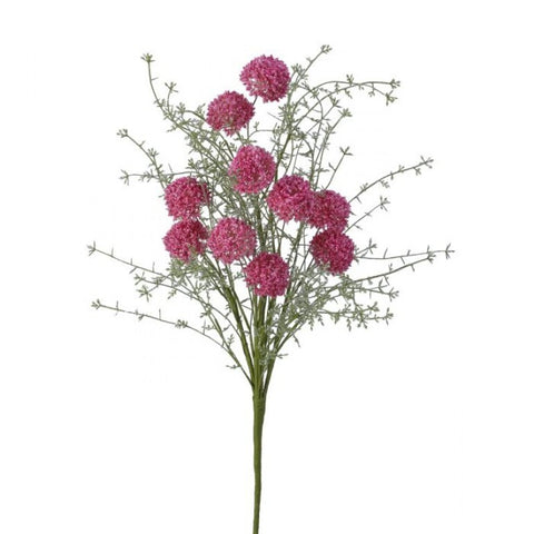 24" Wild Allium Bush x10 - Rose/Pink
