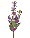 Triple Flowering Japanese Sage 26" - Purple or White