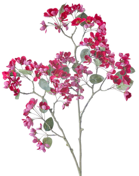 Apple Blossom Branch - 20"