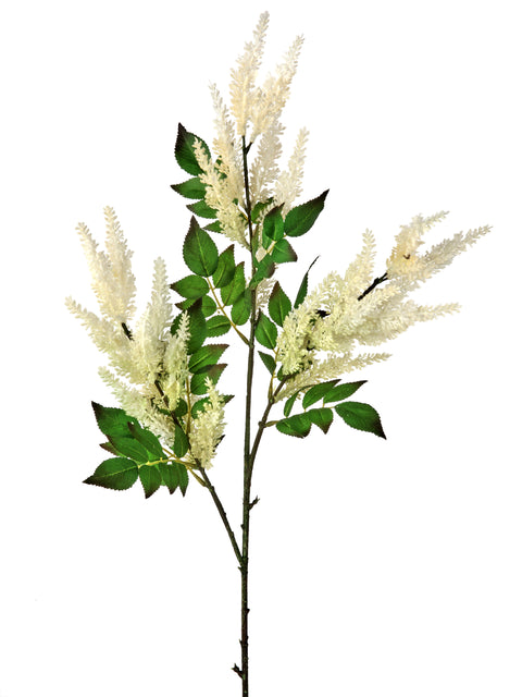 Astilbe Spray - 35"