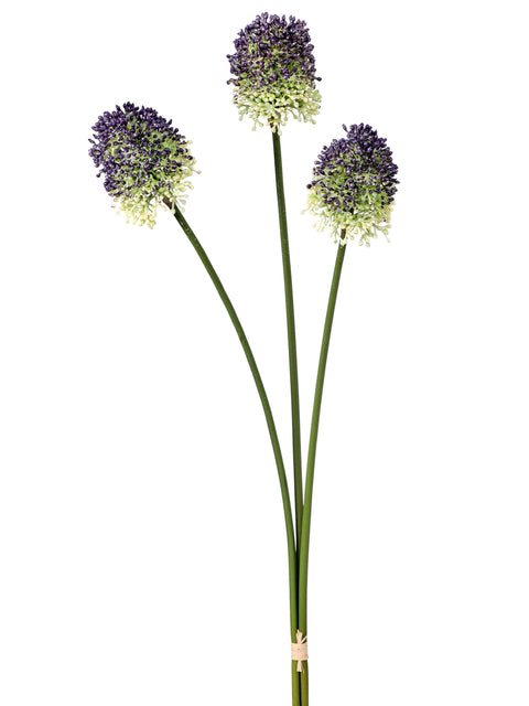 Bullet Allium Bush 21"