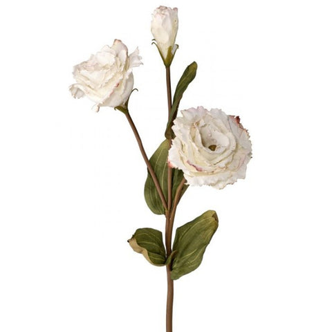 23" Just Dried Lisianthus Spray x3 - White