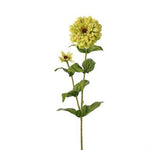 Zinnia with Bud - 30" - Choice of Multiple Colors