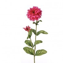 Garden Zinnia with Bud - 30" - Choice of Multiple Colors