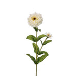Zinnia with Bud - 30" - Choice of Multiple Colors