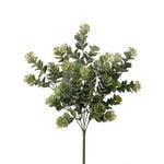 PL. SEDUM EUCALYPTUS BUSH X7 17"