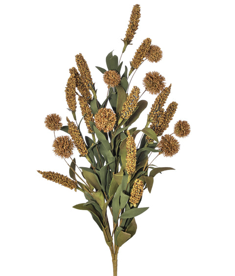 Harvest Sorghum Sweet Gum Ball Bush - Brown/Green