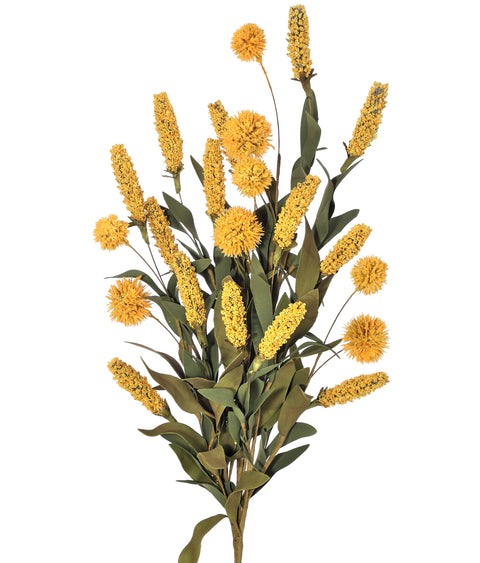 Harvest Sorghum Sweet Gum Ball Bush - Golden