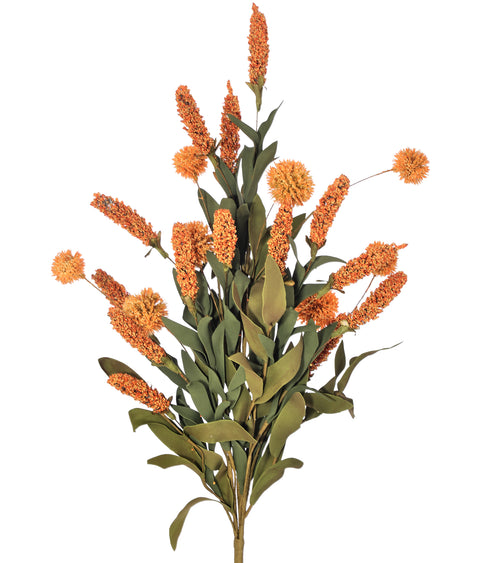 Harvest Sorghum Sweet Gum Ball Bush - Multi Colors