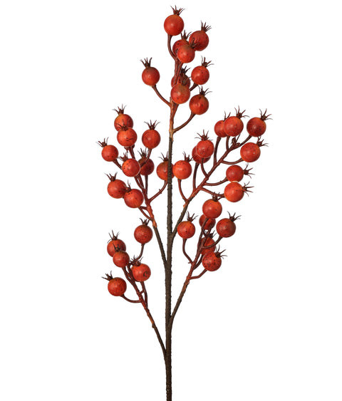 Harvest Crabapple Spray - 29" - Multi Colors