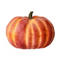 7.5" x 7.5" x 6" Latex Harvest Vine Pumpkin - Orange or Cream