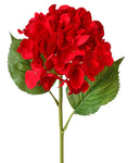 Natural Hydrangea Blossom Stem ~ Red